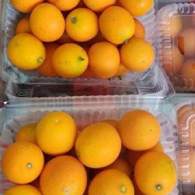 Jual Orange Kimkit Yellow 400 Gr Di Seller Frestive Supermarket Kemang ...
