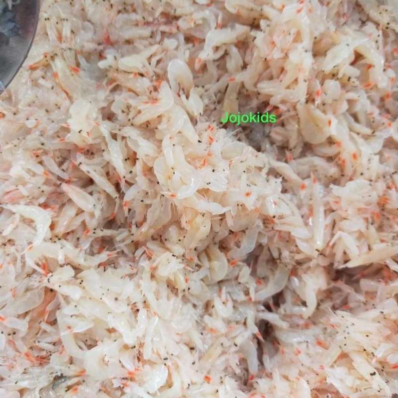 Jual fermented shrimp saeujeot / bumbu kimchi korea / salted seujot di