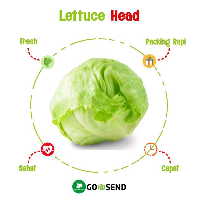 Jual LETTUCE HEAD / SELADA / FRESH VEGETABLES Halal di Seller Mafia