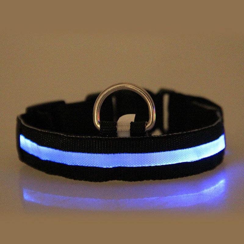 Jual IIT Modes 1 Nylon LED Dog Collar [Battery Powered/ 3 Lights] XS
