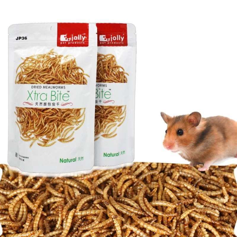 Jual Snack Cemilan Hamster Jolly Xtrabite Dried Mealworms 60gr JP36 di