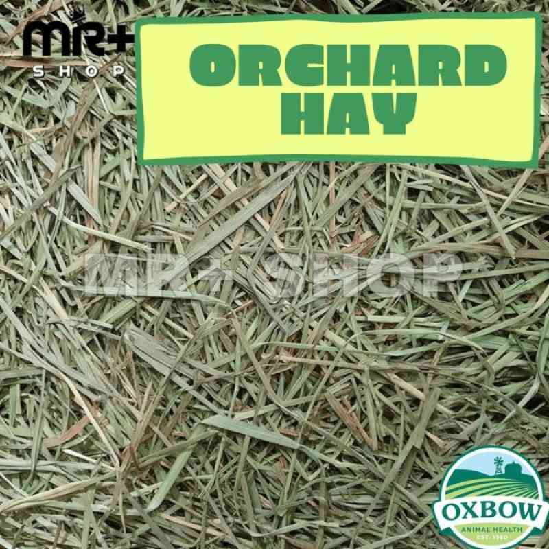 Jual Oxbow Orchard Grass Hay 1Kg Makanan Kelinci Rumput Kelinci Import