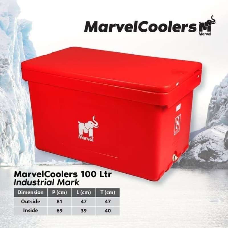 Promo Cooler box Besar 100 200 300 400 500 600 L cool coolbox TANPA
