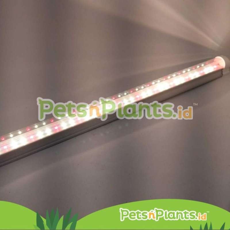 Jual LED T8 Grow Light Lampu Tanaman Hidroponik Full Spectrum Import 90 ...