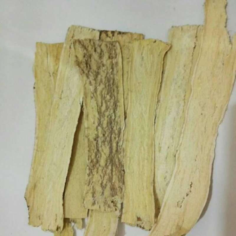 Jual Pei Chi/pakkhi/pak Chi 100gram Di Seller Gunungmasabadi - Sei ...