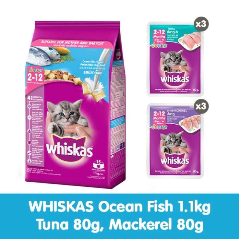 Jual Whiskas Dry Junior Rasa Ocean Fish 1.1Kg + Pouch Multivariant di