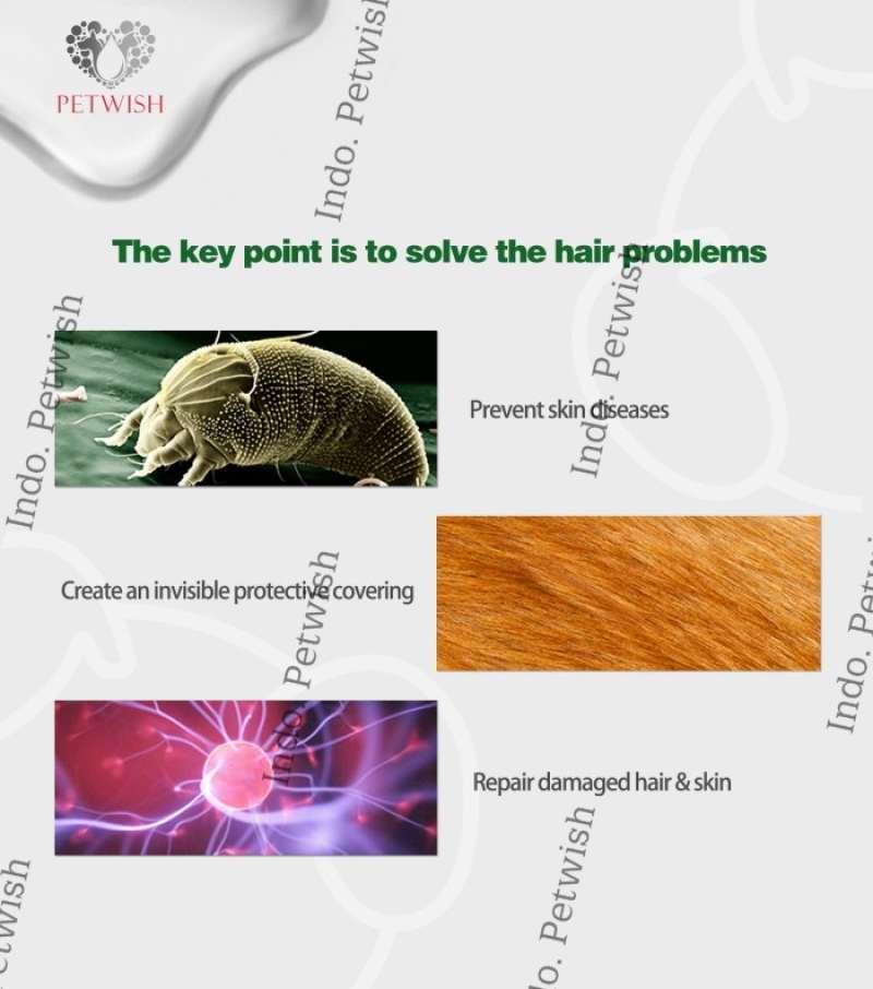 Promo Petwish Shampoo Anjing 750ML Akita Dog Shampoo Diskon 20 di