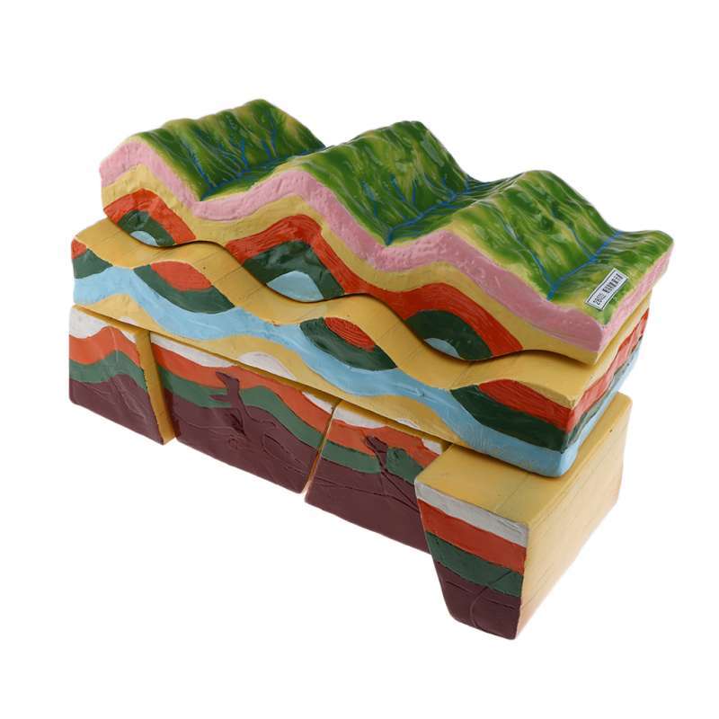 Jual Geology Teaching Aids Kids Learning Toy Geographical Model Display