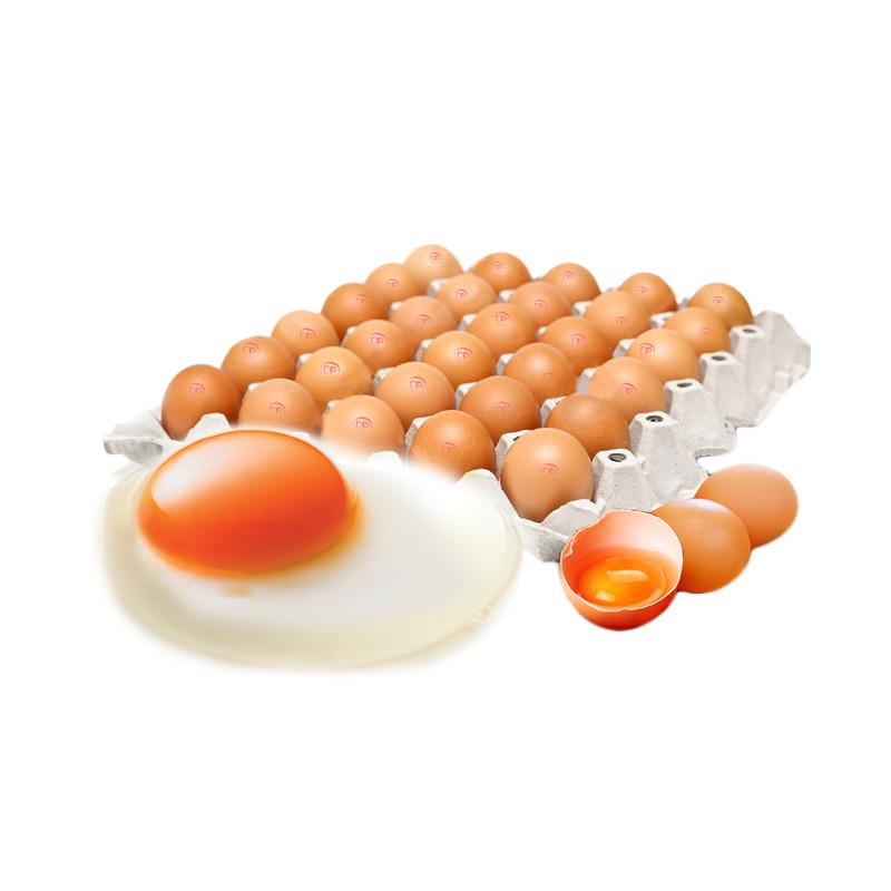 Jual Fiesta CP Omega Fresh Egg Tray 30 butir/ [3 pcs] di Seller PRIMA