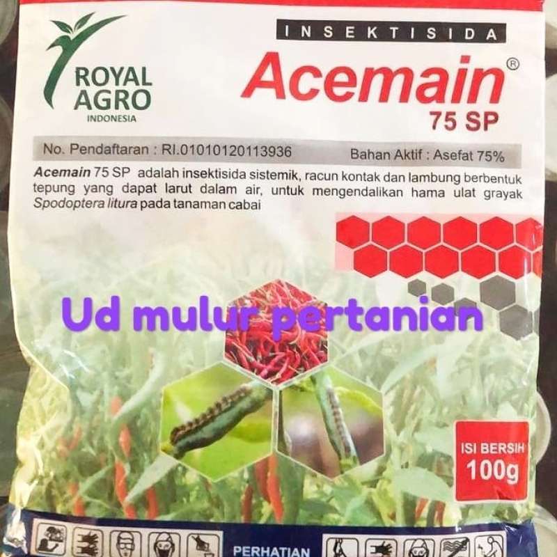 Jual Insektisida ACEMAIN 75SP dr Royal Agro 100gram di Seller UD PANEN ...