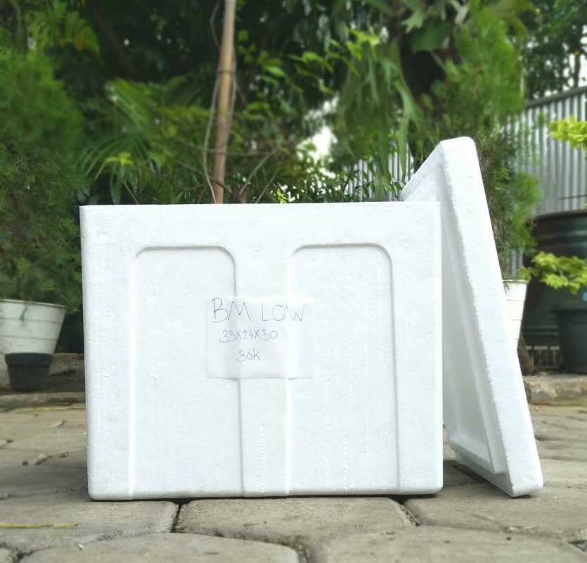 Jual Styrofoam Box Isi 8 kg Sterofoam Box BM LOW Ukuran 49X38X32 cm