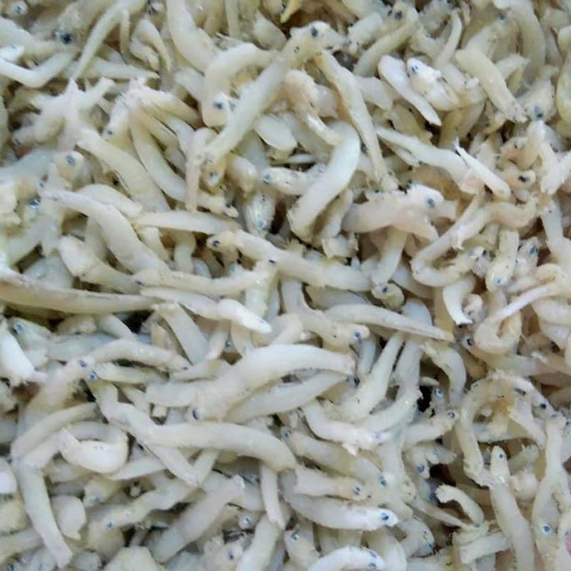 30+ Gambar Lucu Nasi Sama Ikan Teri - Gambar Gokil dan Lucu