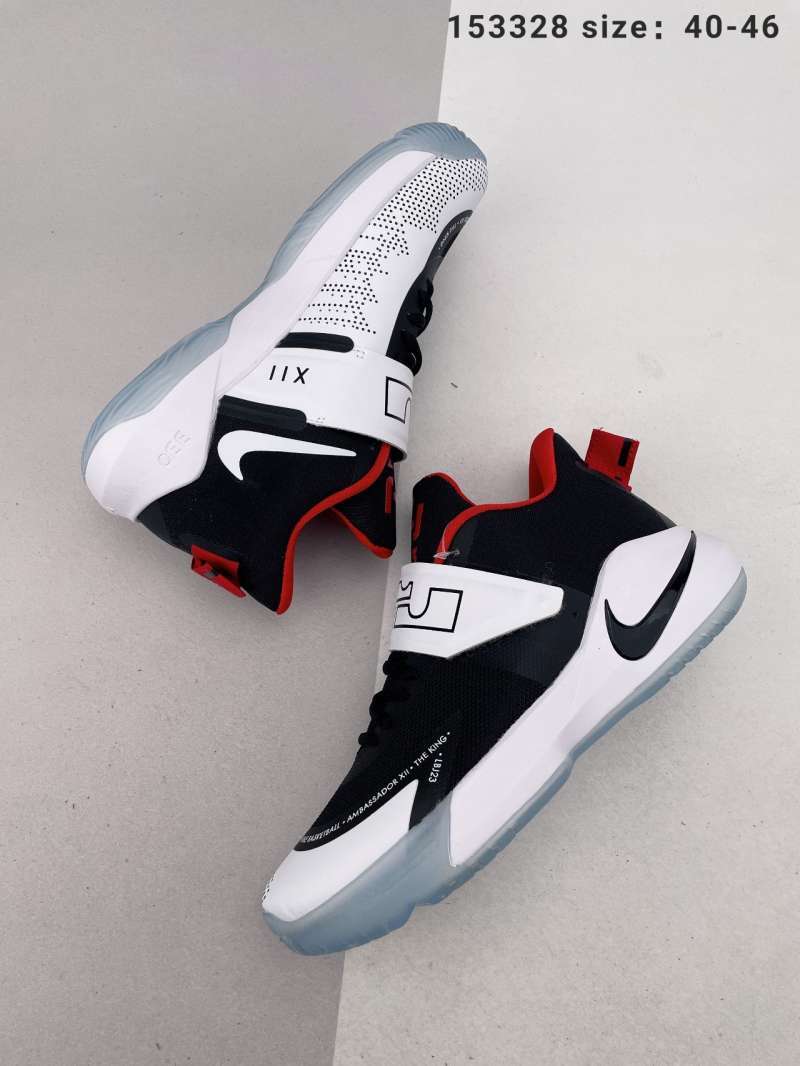 Jual Nike Ambassador XII James envoy 12th generation builtin air