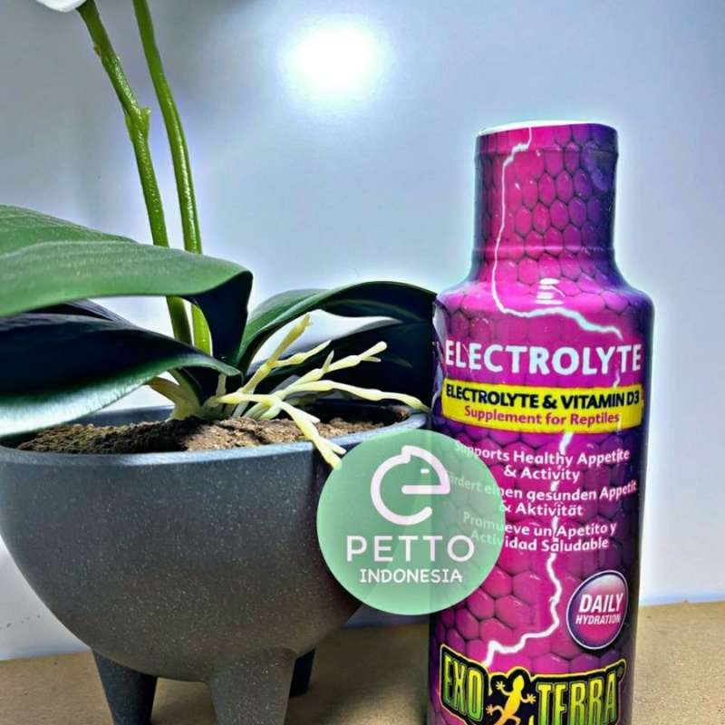 Jual exoterra electrolyte vitamin d3 supplement reptile bearded dragon