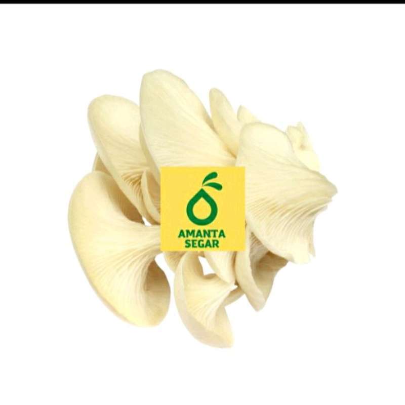 Jual Sayur Jamur Tiram Putih Segar Fresh 1kg per Box Bogor di Seller