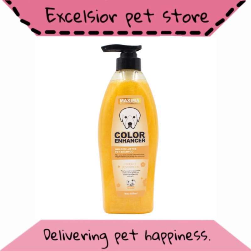 Jual Shampoo Anjing Golden Retriever Maxima 500Ml di Seller DENTA PET