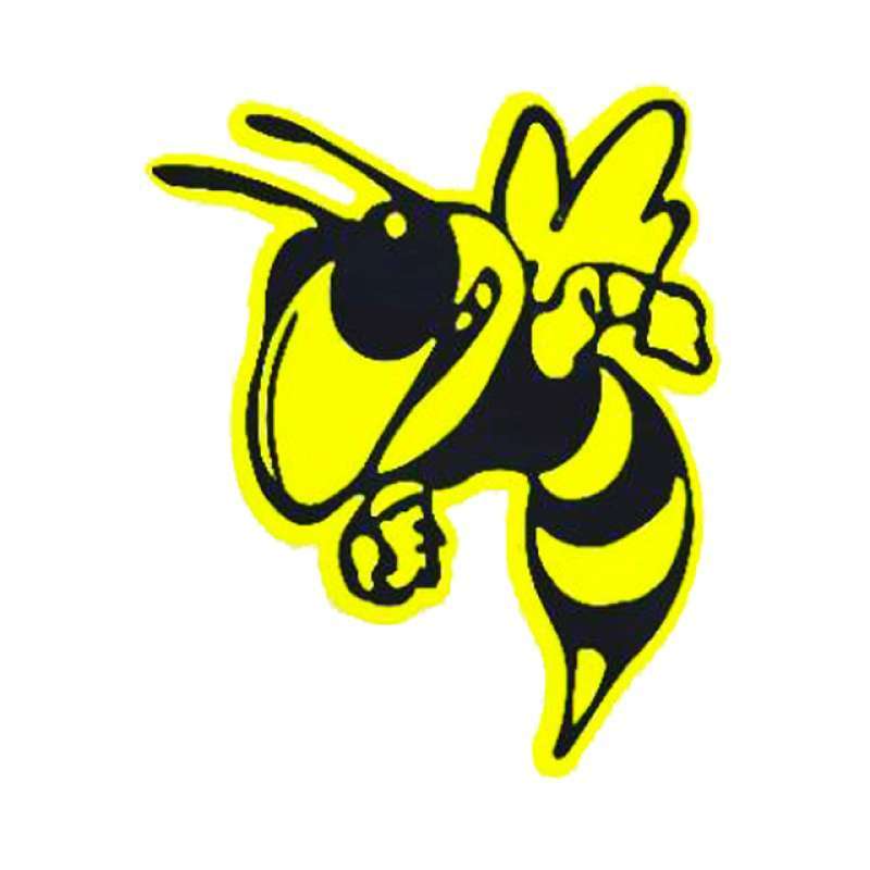 gambar lebah xtc hitam putih - James Mills