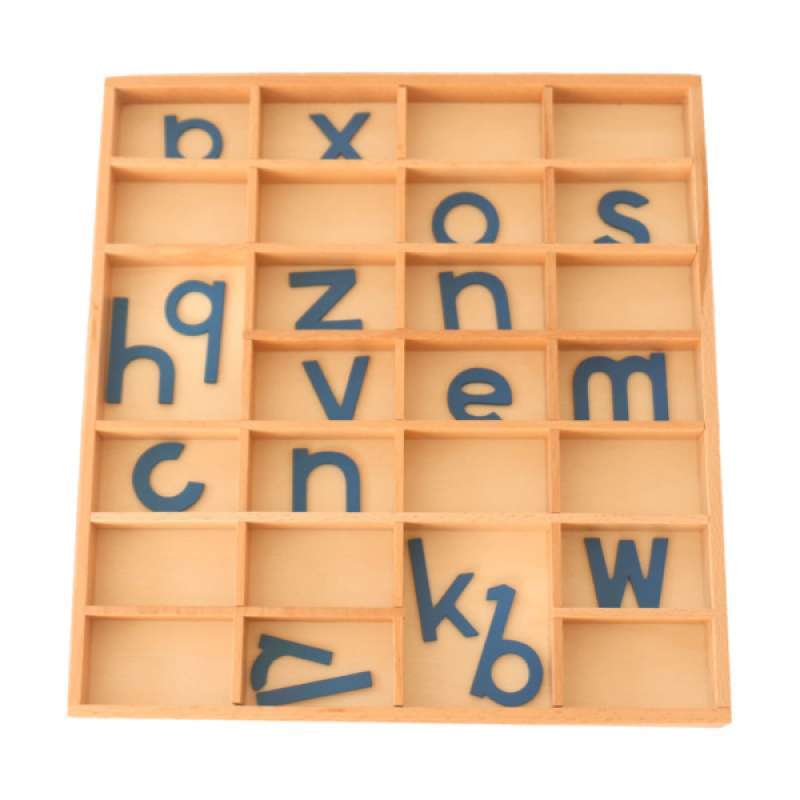 Promo Early Educational Toy Montessori Movable Alphabets Box Letters