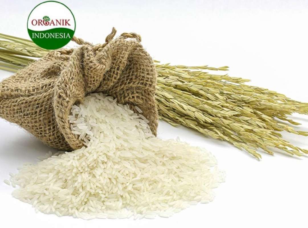 Promo Beras Organik Pandan Wangi 1 Kg Pulen Wangi Vacuum Natural Super ...