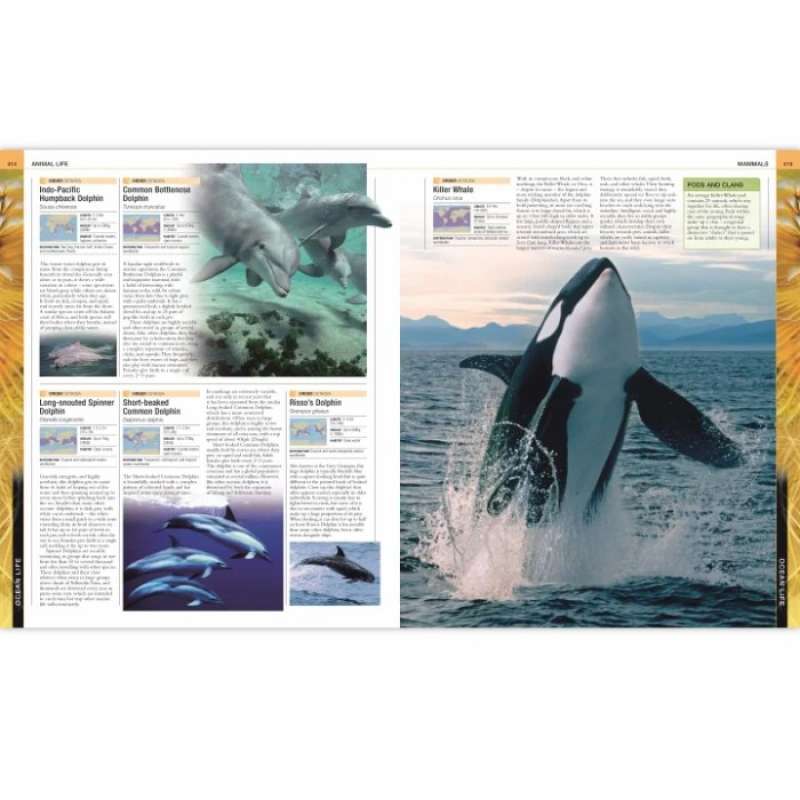 Jual Dk: Ocean: The Definitive Visual Guide Di Seller Bane Store ...