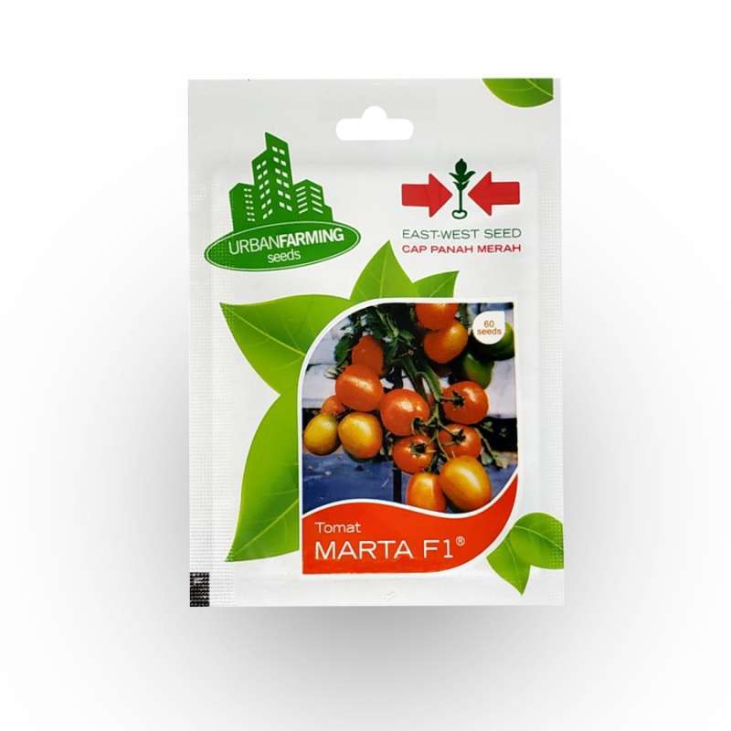 Jual Benih Tomat MARTA F1 Isi 60 Seeds - Panah Merah di Seller Delisara ...