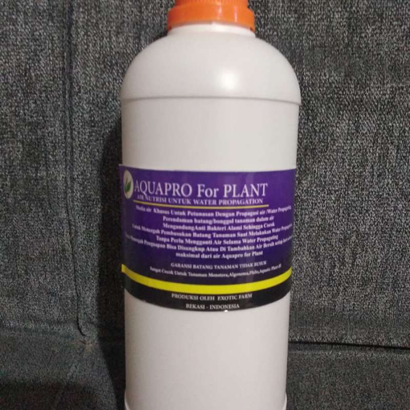 Promo water propagation air propagasi stek tanaman anti bakteri alami