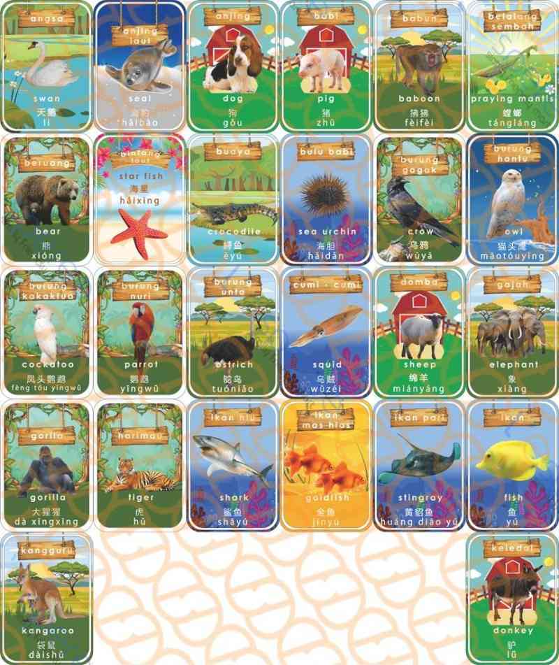 Jual Kartu Belajar Hewan Gambar Asli / Flash Cards Animal Real Image