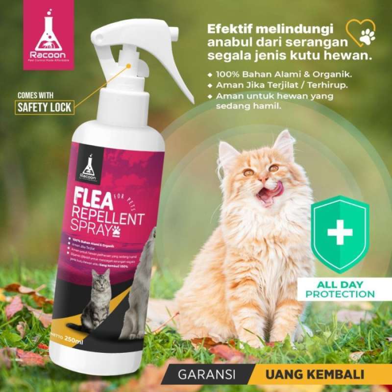 Jual Spray Anti Kutu Hewan Anjing & Kucing Flea Repellent Spray RACOON di Seller Fuschia Store