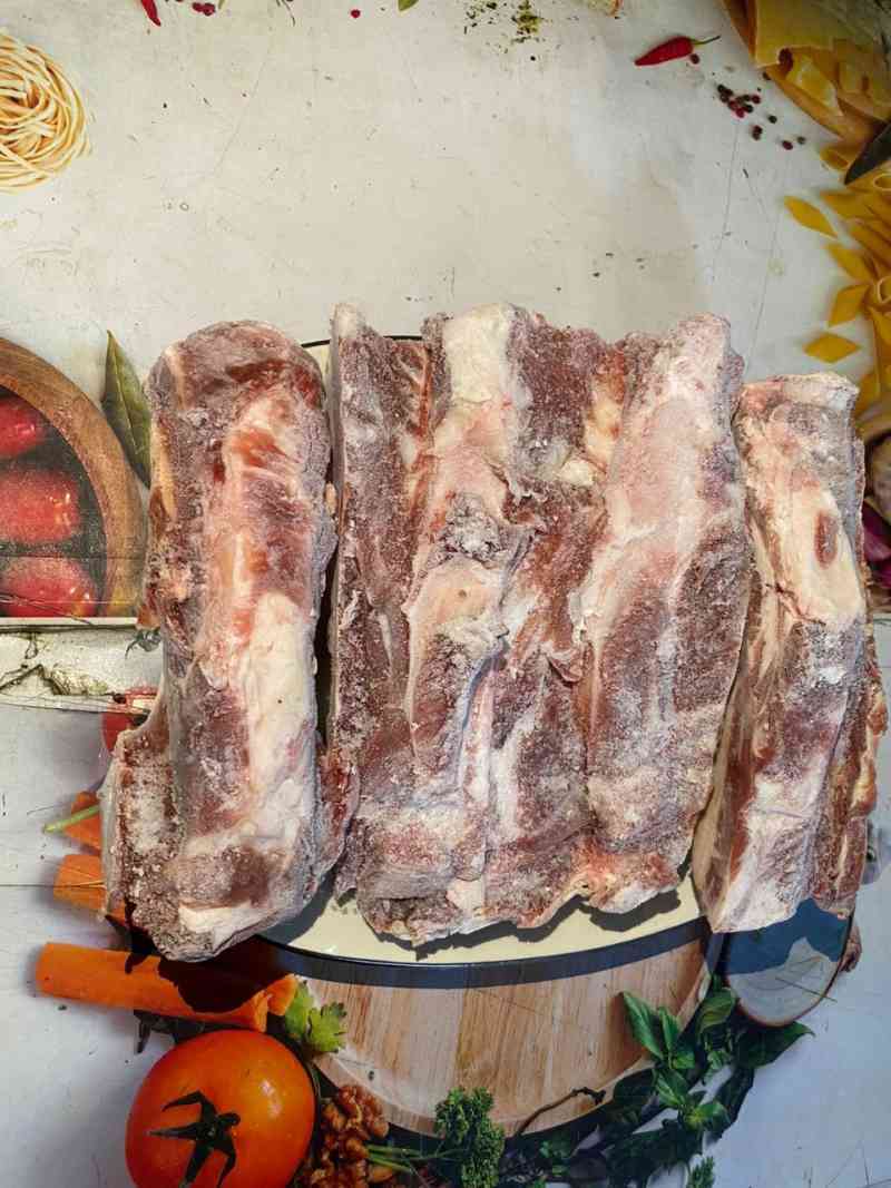 Apakah Sapi Memiliki Tulang Belakang?