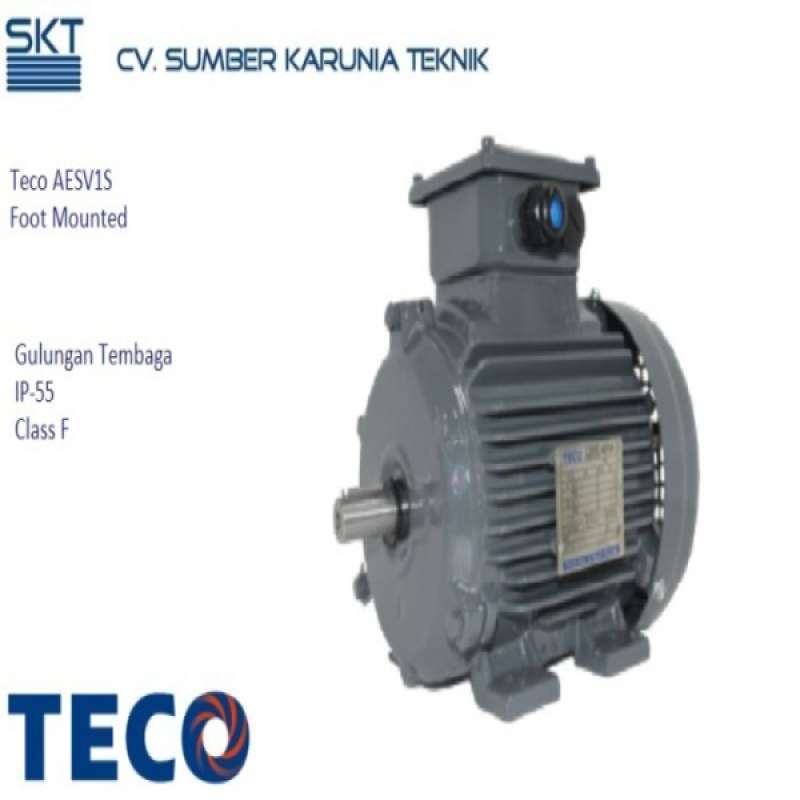 Promo 1.5Hp 1.1Kw Electro Motor/ Dinamo/ Dynamo Teco 3Phase 2Pole 3000Rpm Diskon 15 di Seller