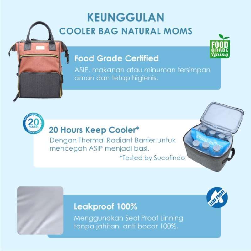 Jual Thermal Bag / Cooler Bag Natural Moms Backpack New Igloo Blue di