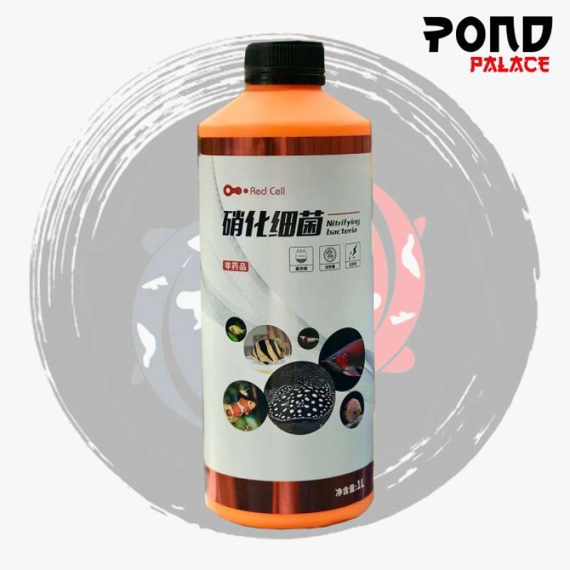 Promo Bacteria Kolam Ikan Filter Bakteri Starter Filter Koi Kolam