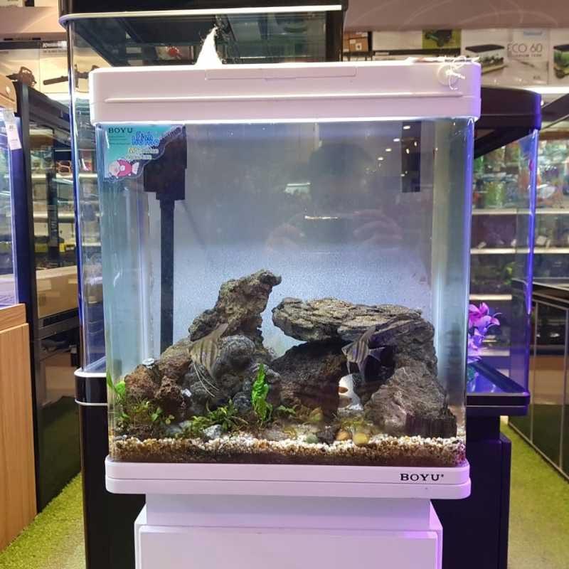 Jual Boyu Set Akuarium Dan Kabinet Ms-420m / Boyu aquarium