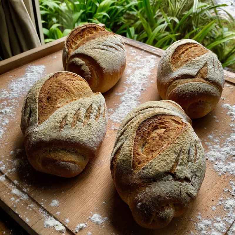 Jual Grandpa's Store Roti Sourdough Bread Grandpas Di Seller Grandpa's