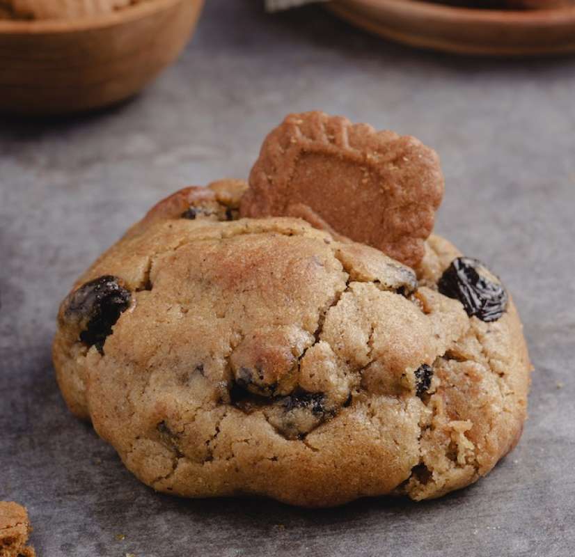 Jual Lotus Biscoff Soft Cookies with Lotus Biscoff filling & topping di