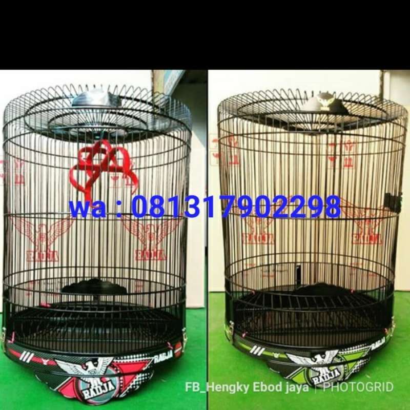 Pvc Murai Promo Radja Pvc Dekal Murai Diskon 23% di Seller Luxa Beauty - Kalibata ...