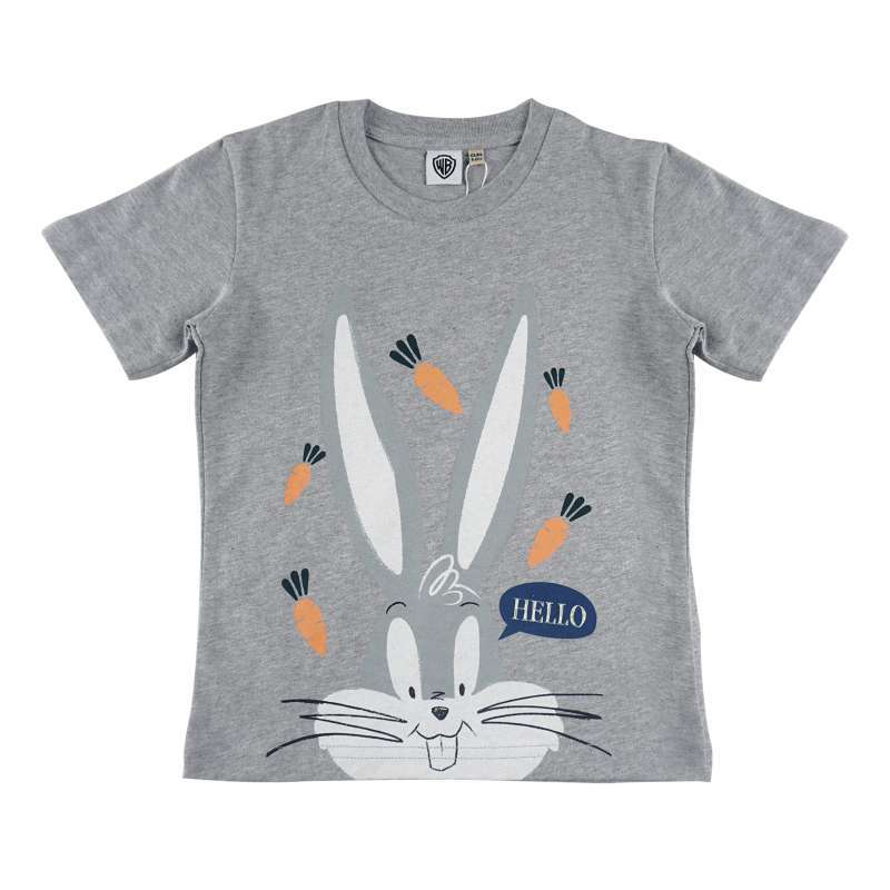 Jual KIDS ICON - Kaos Anak Laki-laki Looney Tunes 03-36 Bulan With