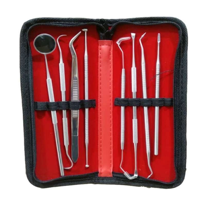 Promo DENTAL KIT SET 8PCS ALAT DOKTER GIGI DENTAL INSTRUMENT PERAWATAN