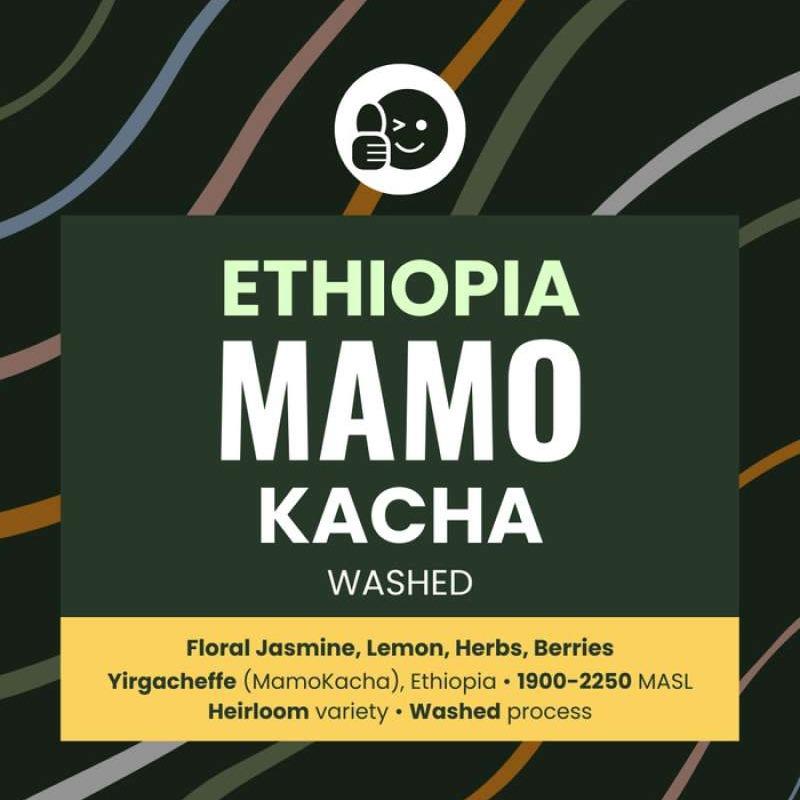 Promo Machiato Kopi Ethiopia Mamo Kacha Washed Biji Arabika MamoKacha