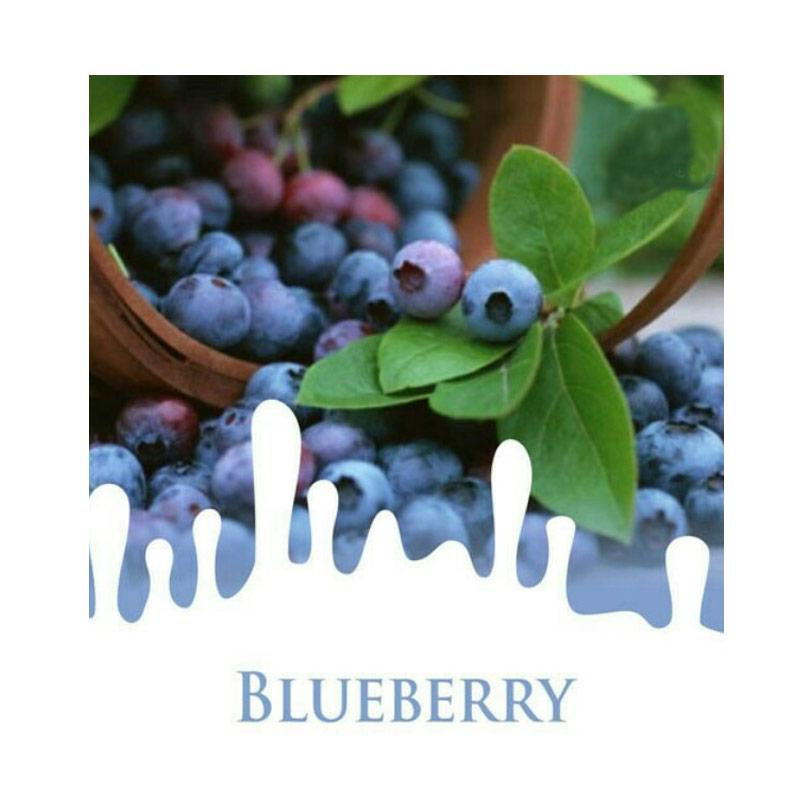 jual maica leaf buah blueberry benih tanaman 15 benih jual maica leaf buah blueberry benih tanaman 15 benih