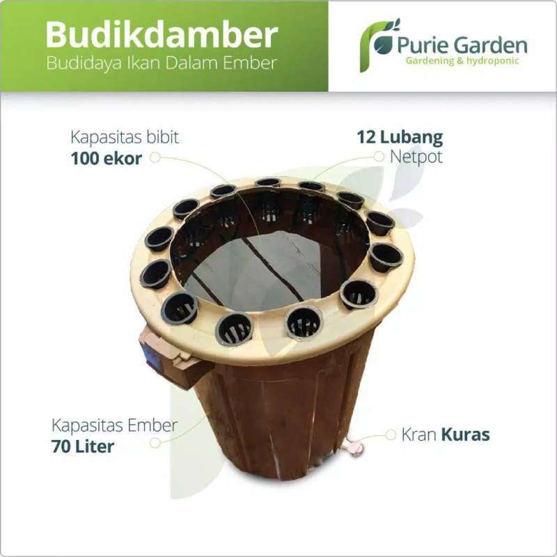 Jual Budikdamber Paket Aquaponik Budidaya Ikan Dalam Ember