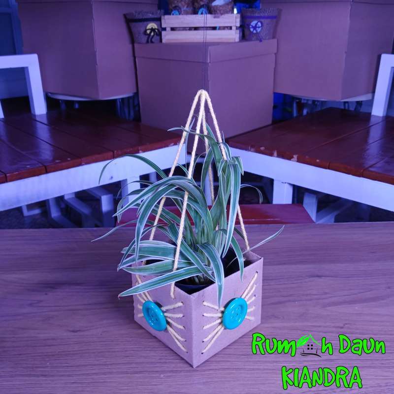 Jual Paper bag/tas jinjing diameter 10cm free Tanaman + free pot di