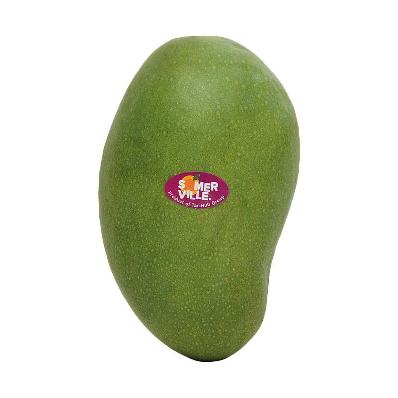 Gambar Buah Gambar Mangga - Gambar Bagian Tumbuhan