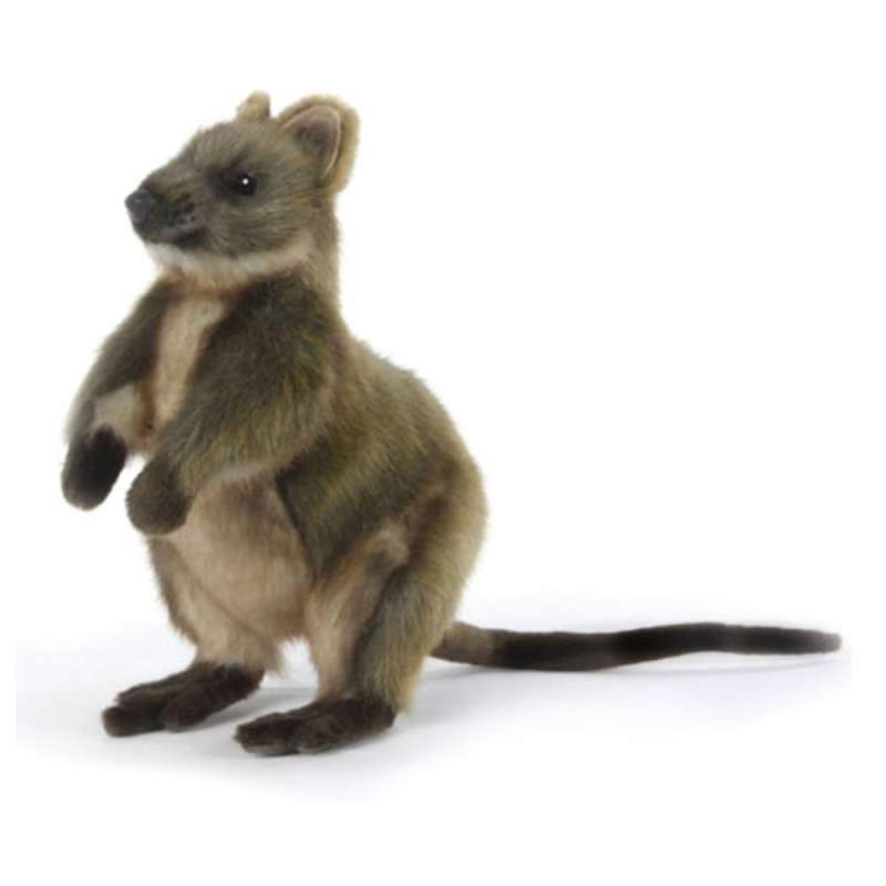Jual Hansa Quokka Plush Toy (22cm) di Seller LatestBuy 6053 Bayswater