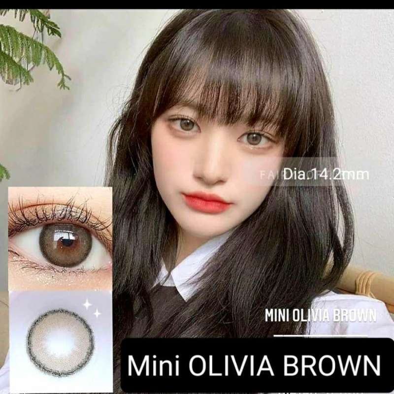 Mini Topper Islamic Jual Soft Lens Olivia 🔥 100% Original, Harga & Kualitas Terbaik Oktober ...