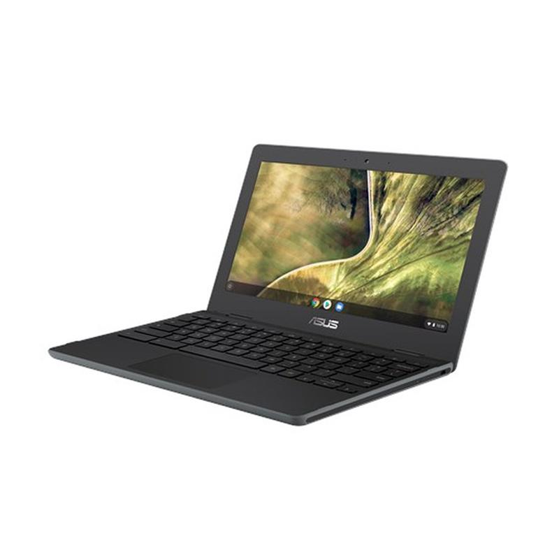 Jual ASUS Chromebook C204MA-BU1430 Notebook - Grey [N4000/11.6 Inch