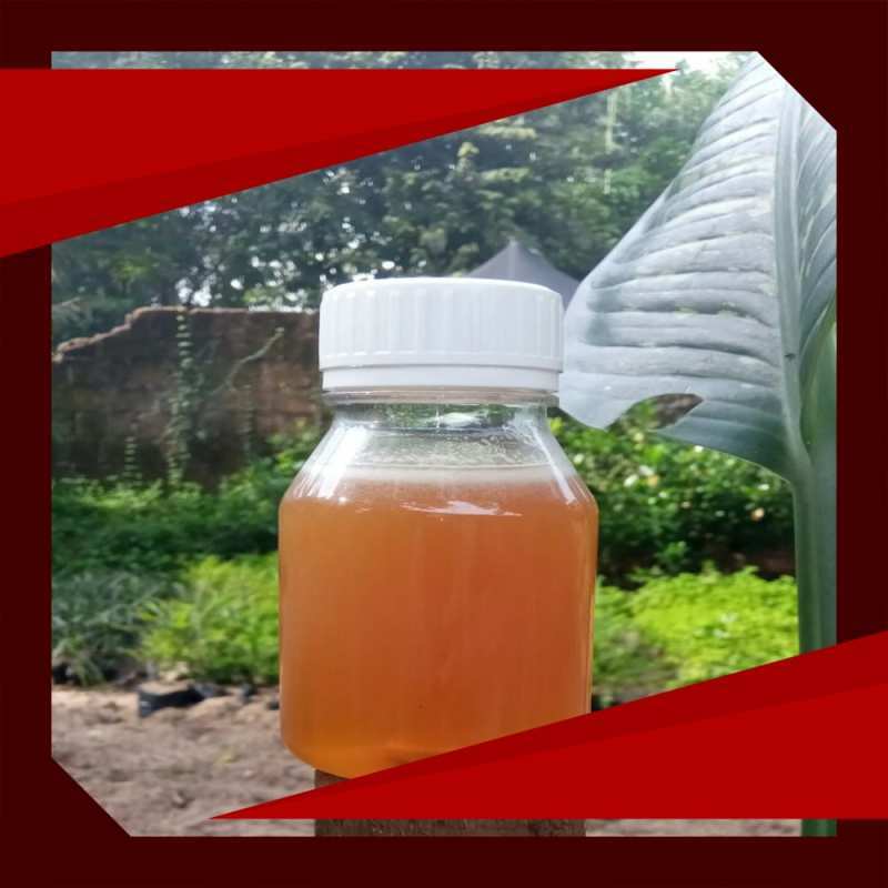 Promo Madu Murni Randu Super/Madu Asli/Raw Honey 1Kg di Seller Dhiya.id