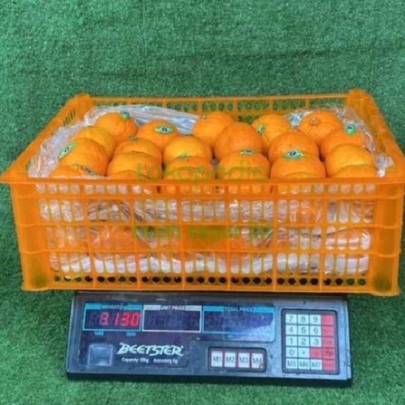 Jual Jeruk Wokam Mandarin Termurah Harga Grosir Terupdate Hari Ini jual-jeruk-wokam-mandarin-termurah-harga-grosir-terupdate-hari-ini