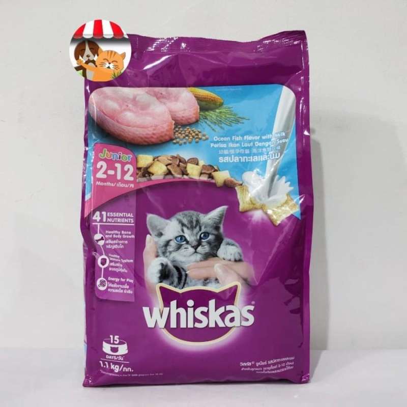 Jual Whiskas junior 1.1kg makanan kucing kitten kering di Seller