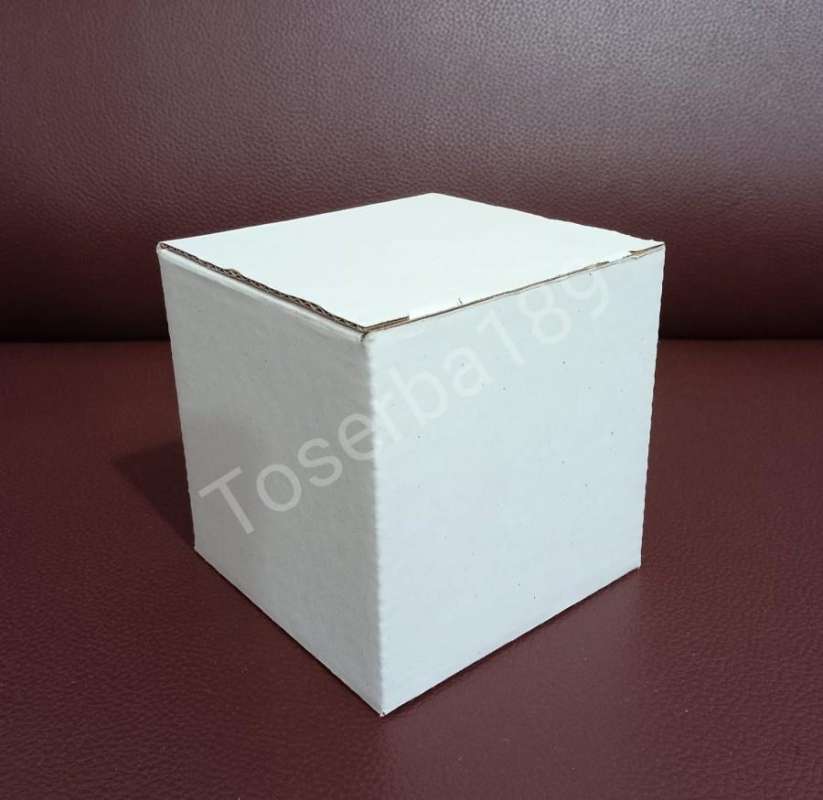 Jual Kardus packing box pizza / die cut uk 8x8x10 PUTIH PUTIH di Seller